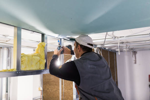 Best Insulation Maintenance and Repair in Hagerman, ID